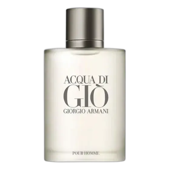 Armani Acqua Di Gio Men's Perfume 100ml EDT