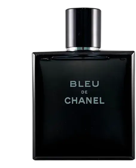 Bleu De Chanel EDT 100ml Men's