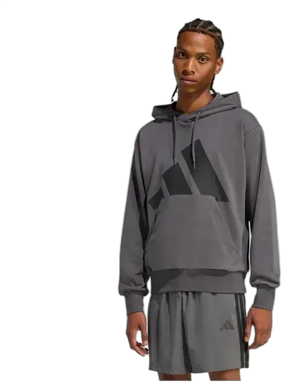 Moletom De Terry Francês Com Logotipo Grande Essentials Adidas