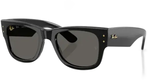 Ray-Ban Mega Wayfarer A$AP Rocky Blacked Out Sunglasses