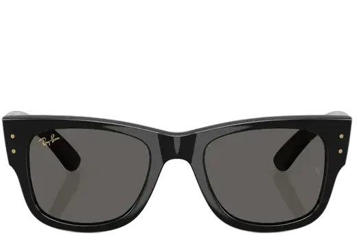 Ray Ban Mega Wayfarer RB0840S Sunglasses Color Black