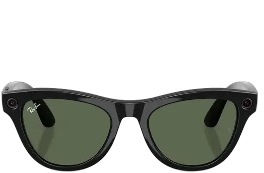Ray-Ban Skyler Sunglasses with G15 Green Lenses and Shiny Black Frame