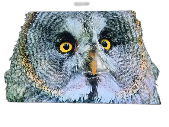Smart Tv 55 Lg Oled55b3psa Artificial Intelligence Ai Thinq