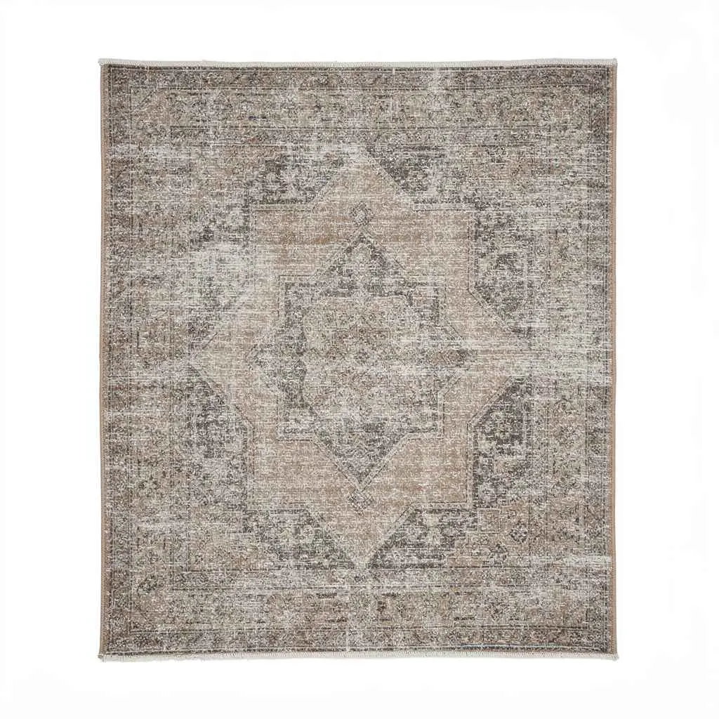 Area Rug 5x7 Vintage Dopamine Variant